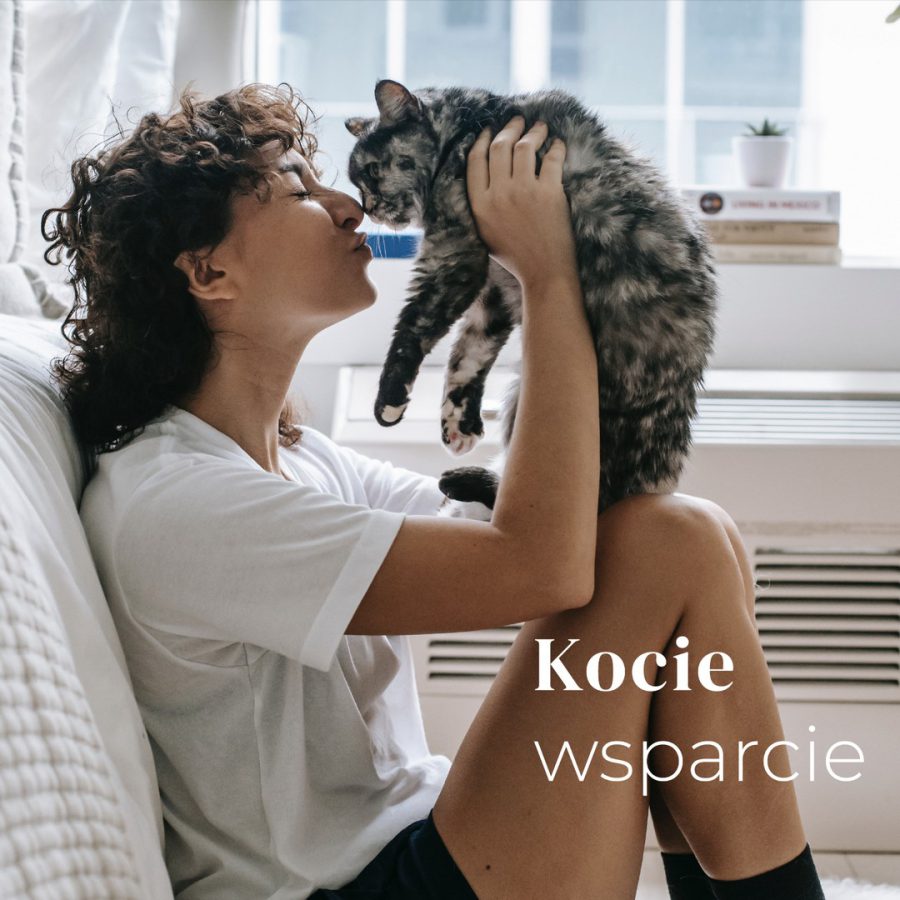 Dzień Kota
