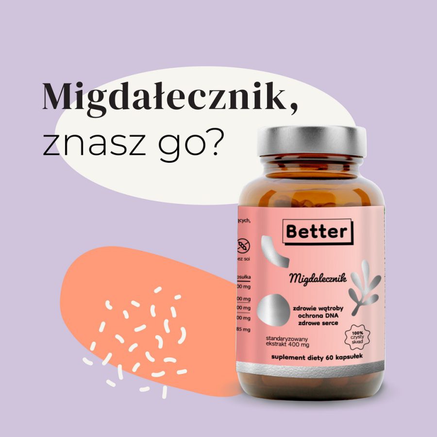migdałecznik